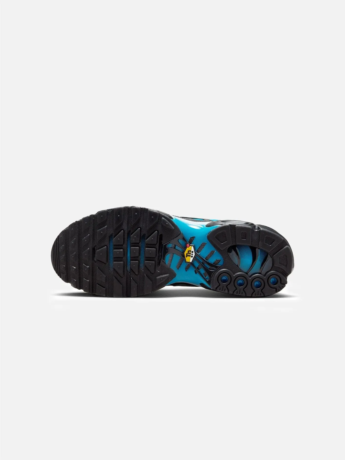 Air Max Plus "Blue Gradient"