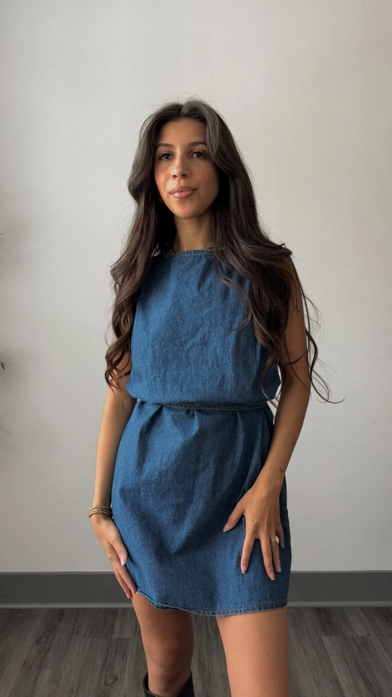 Bria Denim Dress