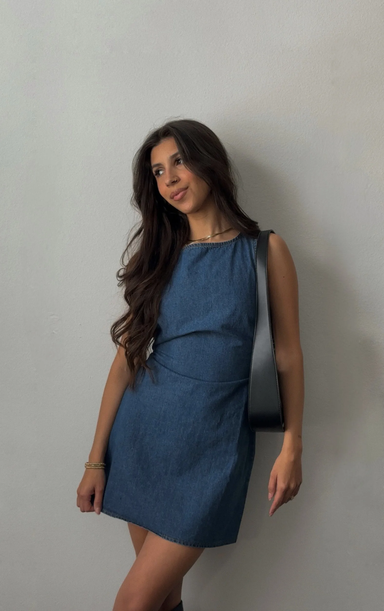 Bria Denim Dress