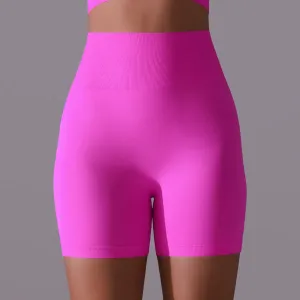 Echo High-Rise Seamless Ribbed Biker Shorts