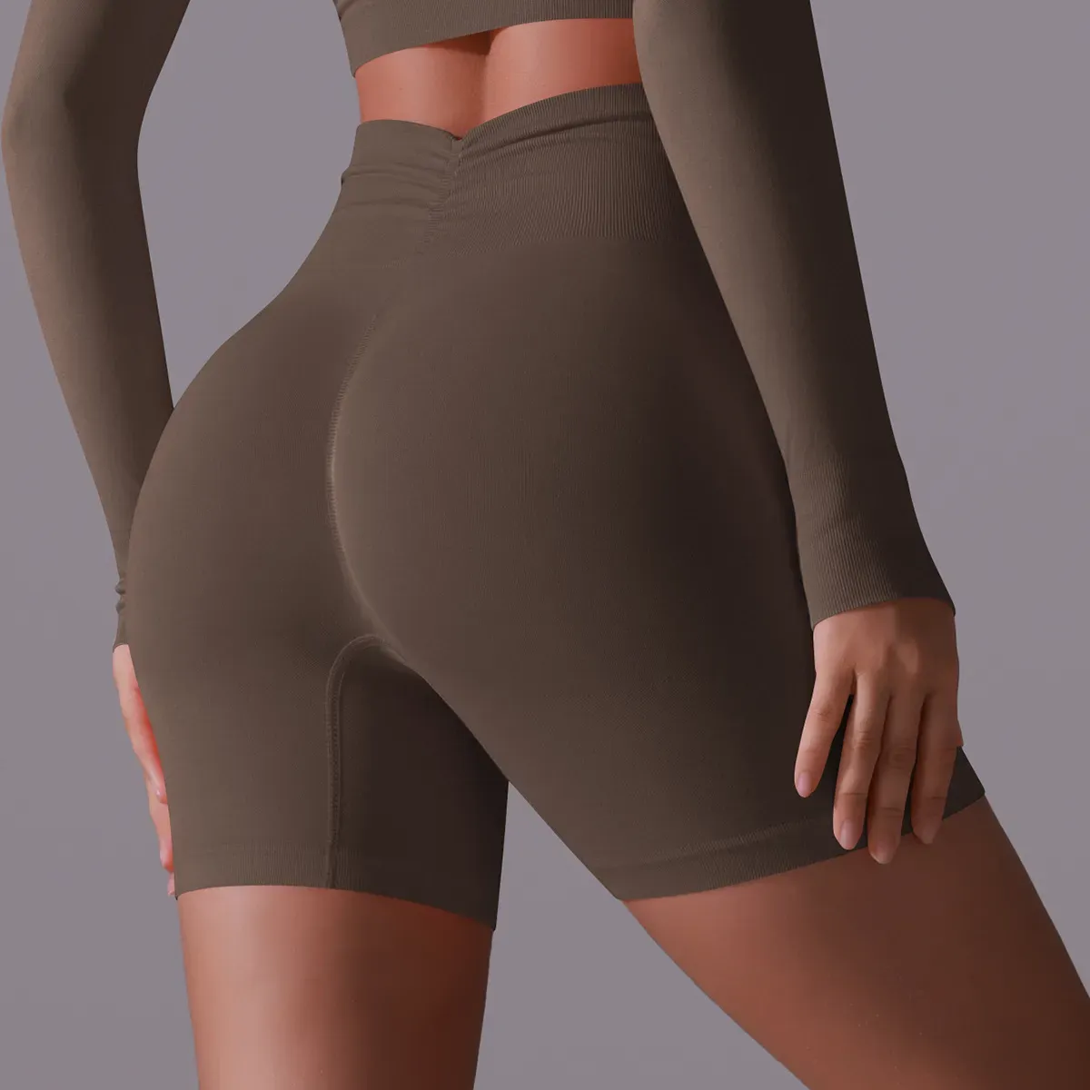 Echo High-Rise Seamless Ribbed Biker Shorts