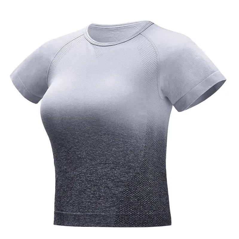Elka Short Sleeve Seamless Ombre Crop T-Shirt