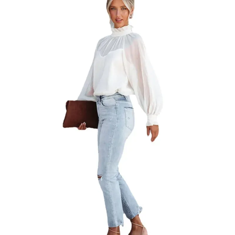 Ethereal Elegance Sheer Mock Neck Balloon Sleeve Blouse