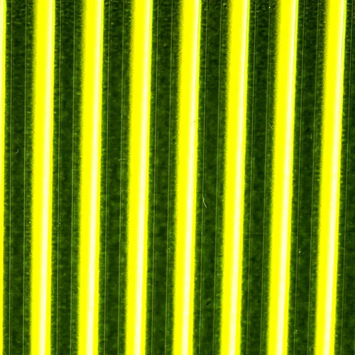 Hareline Tapered Synthetic Quill,