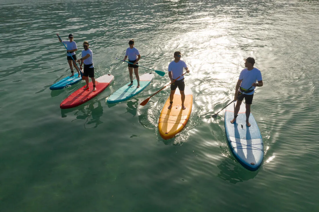 Paddle Collapsible and adjustable 3-part stand-up paddle (170-220 cm blue)