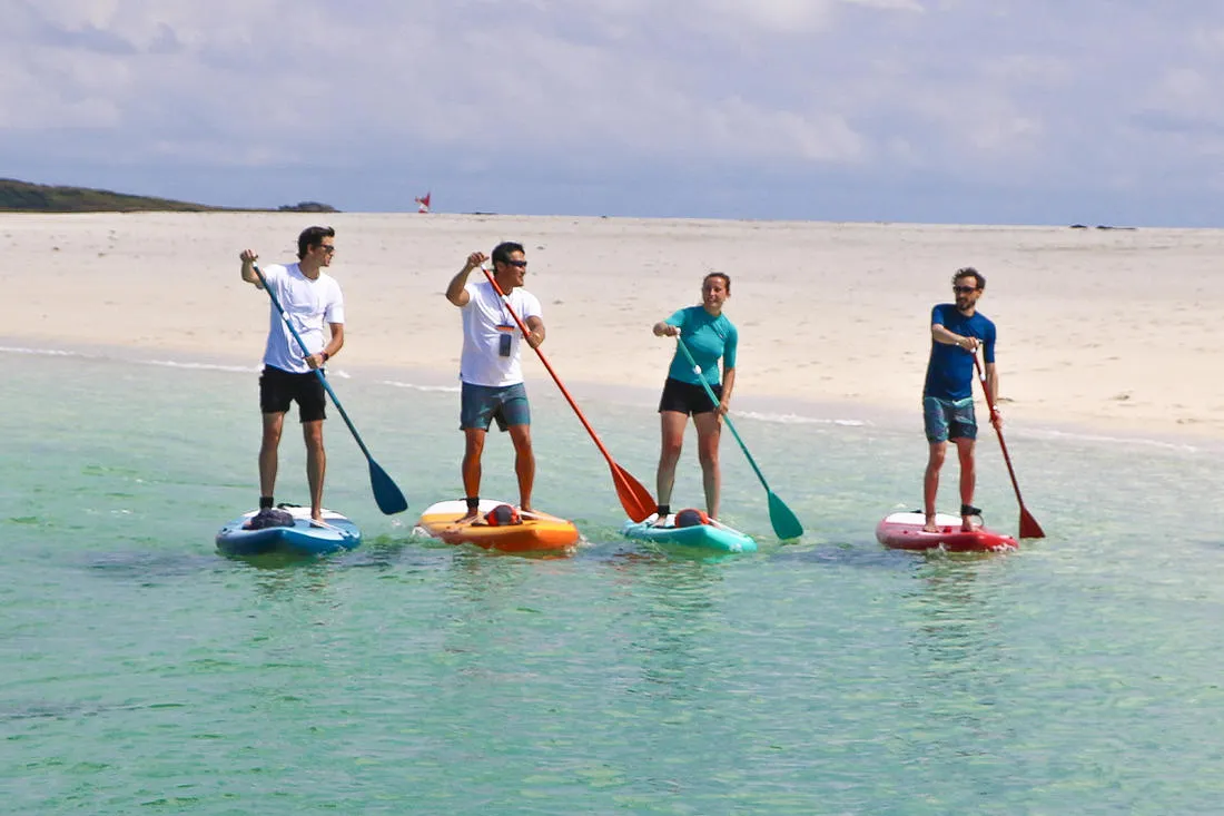 Paddle Collapsible and adjustable 3-part stand-up paddle (170-220 cm blue)