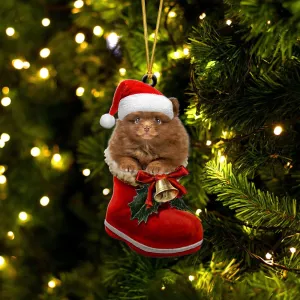 Pomeranian-In Santa Boot Christmas-Two Sided Ornament