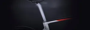 S-Works Roubaix Frameset